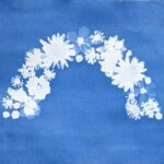 Cyanotype Sun Print